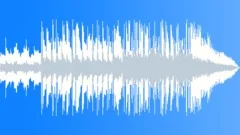 Folk Electric - 15 Second (Upbeat, Organic)Stock Music