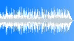 Folk Electric - DnB (Upbeat, Organic)Stock Music