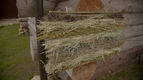 Folk elements for decorating walls of house. Set of healing field herbs Stock Footage 221937537