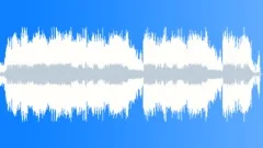 Folk It Stroke it pt 2 Stock Music