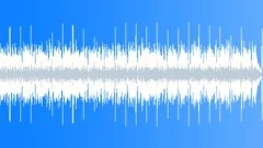 Folk - Porch Swing No 04 - Funky Folk Resonator and Shaker 442 D 85 bpm Stock Music