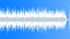 Folk - Reborn No 04 - Folk with Shaker 141 D 85 bpm Stock Music