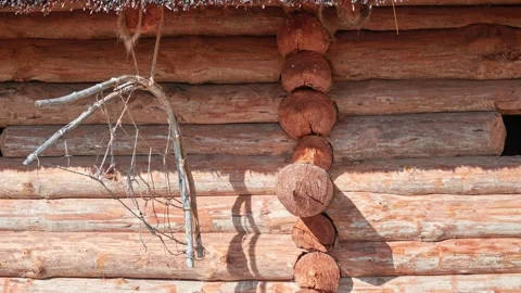 Folk tools for hunting hang on log of wooden hut. Sunny day. Stock Footage 214039452