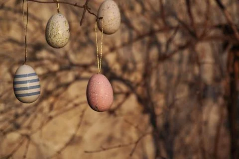 The folk traditional decorating trees before Easter with colored Stock Photos