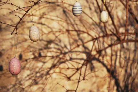 The folk traditional decorating trees before Easter with colored Stock Photos