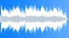 Folktronic (30s)Stock Music