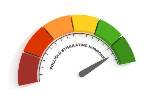 Follicle stimulating hormone level measuring device. 3D render 스톡 일러스트