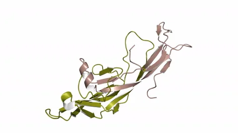 Follicle-stimulating hormone, rotating model Stock Footage 65990450