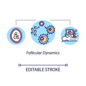 Follicular dynamic concept icon. Menstrual cycle. Female egg cells Stock Illustration