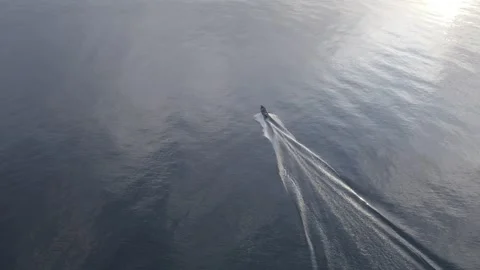 Follow boat Video stock 259255994