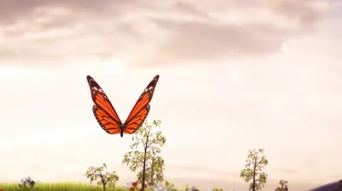 Follow the butterfly 스톡 동영상 10832779