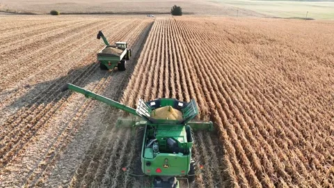 Follow combine and loading tractor Stock Footage 244139219