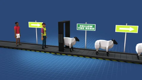 Follow The Herd 02 Stock Footage 241030756