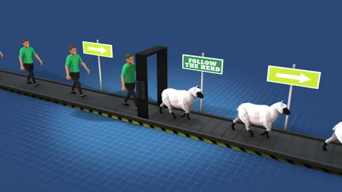 Follow The Herd 03 Stock Footage 241030399