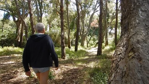 Follow the path in the maritime pine forest to reach the beach 4629 Stock Footage 107972341