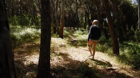 Follow the path in the maritime pine forest to reach the beach 4631 Stock Footage 107972619