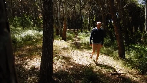 Follow the path in the maritime pine forest to reach the beach 4632 Video stock 107972656