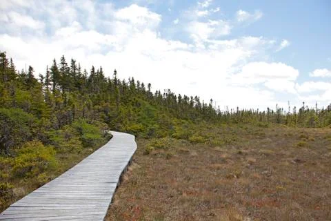 Follow the path Stock-Fotos