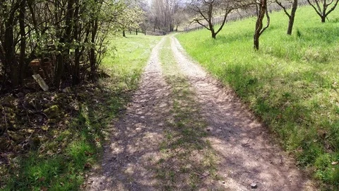Follow the path trough meadow and vineyard Stock Footage 128941952