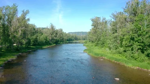 Follow the river between the trees. 스톡 동영상 111277743