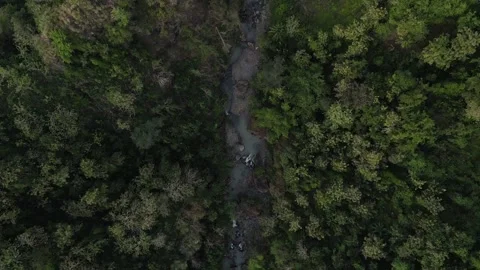 Follow the river Video stock 266779045