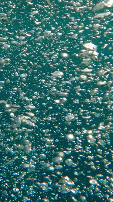 Follow shot of air bubbles from view above to bubbling water surface 動画素材 343155322
