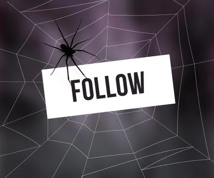 Follow in spider web Illustrazione stock