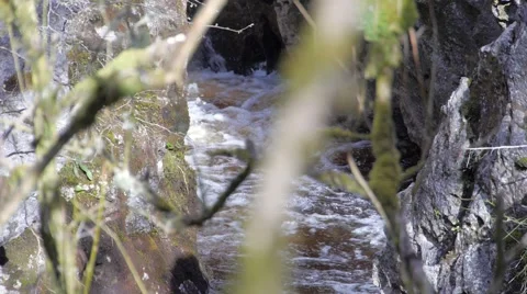 Follow Stream Flow Stock Footage 49565858