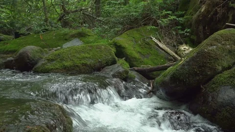 Follow the stream Stock Footage 112146911