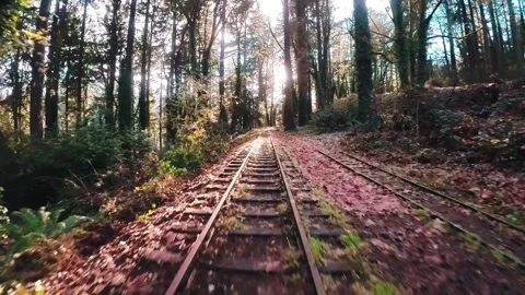 Follow train tracks through the forest on a sunny day 動画素材 219518621