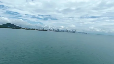 Follow-up view of a bird in the bay Vidéo 166118786