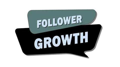 Follower growth — The increase in the number of subscribers or followers Stock Footage 306775252