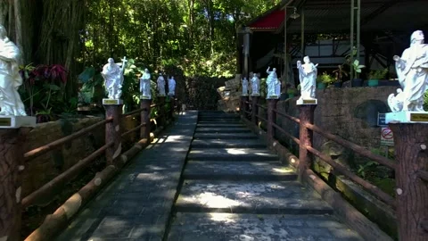 Follower of Jesus 動画素材 239777194