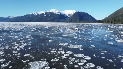 Following a bald eagle over the icy Skeena River Stock Footage 149147539
