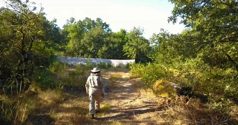 FOLLOWING THE BEEKEEPER TO THE SKY Stock Footage 95093695