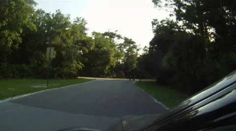 Following Bikers On A Forest Road At Sunset Stock Footage