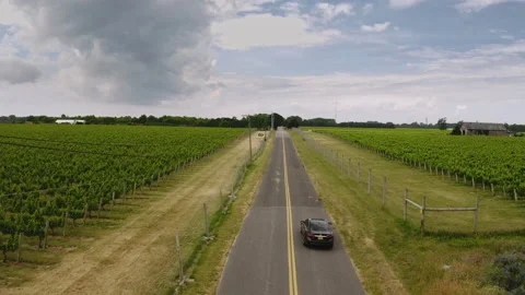 Following a car between crop fields on a lonly road Stock Footage 133727808