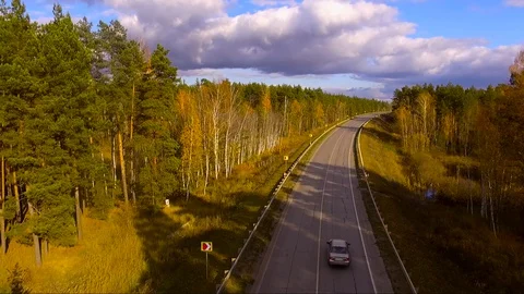 Following a car in the forest Stock Footage 128658629