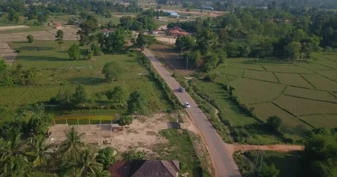 Following car on road between trees in sunset among green fields with drone Stock Footage 109077961