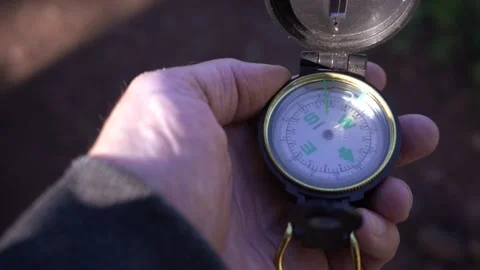 Following a compass course while hiking in the forest Stock Footage 203981318