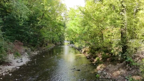 Following the course of a stream backwards through the trees with a drone Stock Footage 319943620