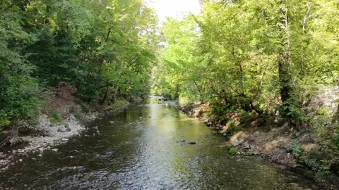 Following the course of a stream through the trees in early fall with a drone Stock Footage 319944158