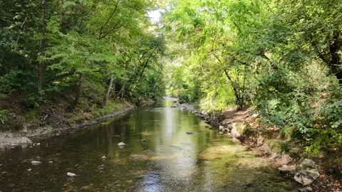 Following the course of a stream through the trees in autumn with a drone Stock Footage 319944171