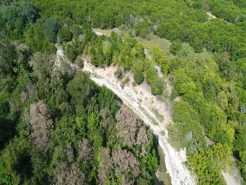 Following dry river in the forest Stock Footage 85105810