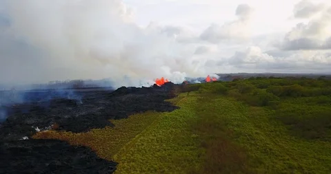 Following the Flow Vidéo 90469633