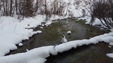 Following the Flow of a Spring in Winter Stock Footage 217407994