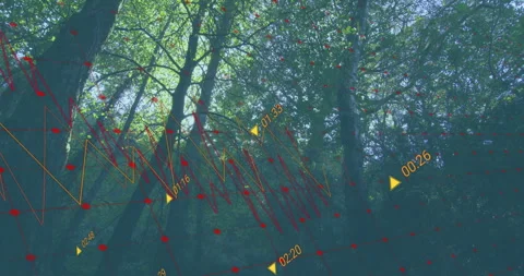Following grid fading in, data visualizing trends across treetops with shifting Video stock 313570905