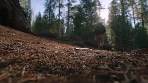 Following The Hiker At Dusk Stock Footage 342572691