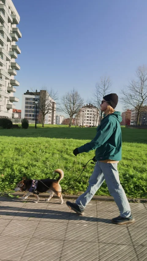 Following man walking dog through Oviedo city center. Stock-Footage 338029539