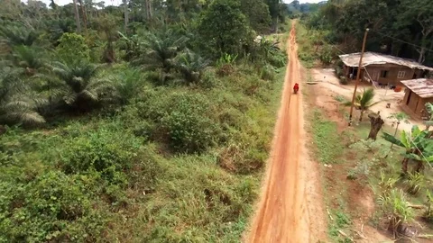 Following a moto on a forest road Stock Footage 80562663